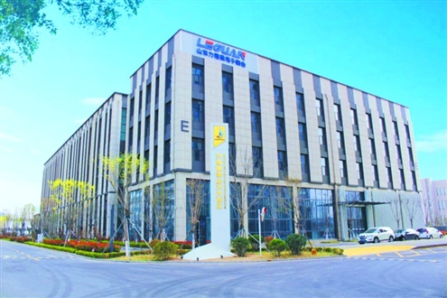 山东力冠微电子装备有限公司